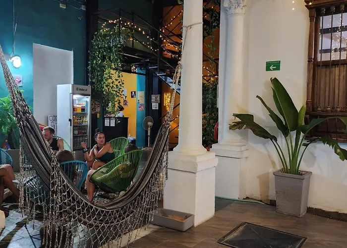 Baboon Hostel Santa Marta 